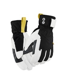 Winter Glove Supreme Warm